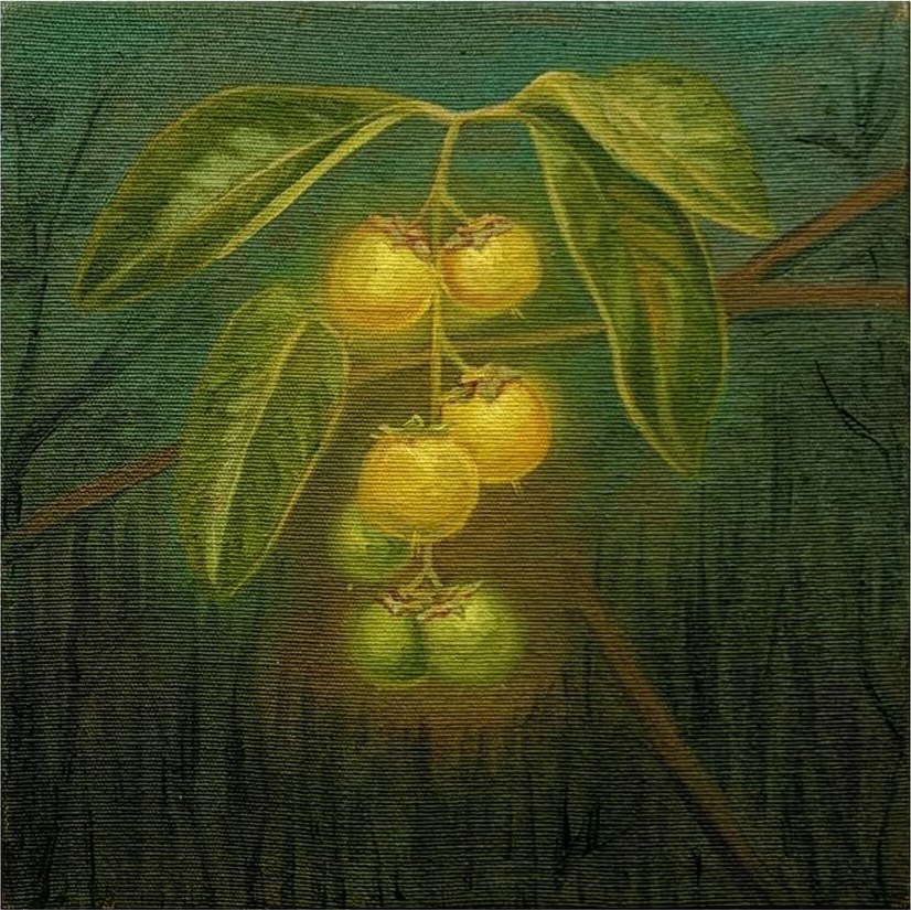 Enthony Sousa, “Murici - Byrsonima spp”
