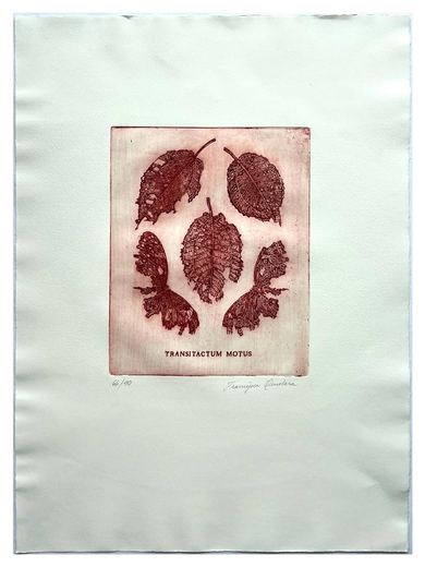 Mauro Espíndola, “Transitactum Motus”