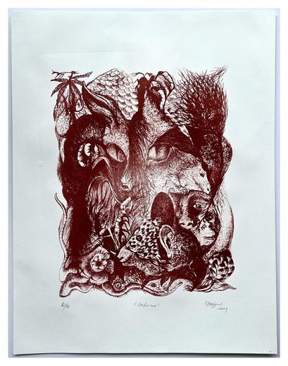 Michel Zózimo, “Soturno”