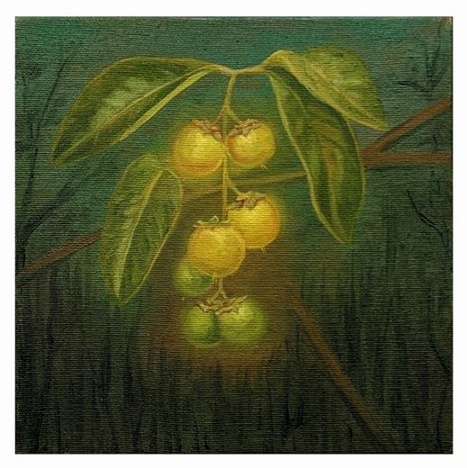 Enthony Sousa, “Murici - Byrsonima spp”