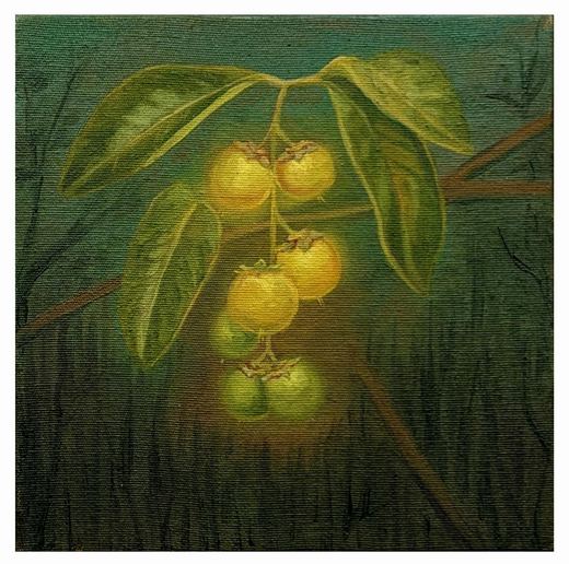 “Murici - Byrsonima spp” — 2