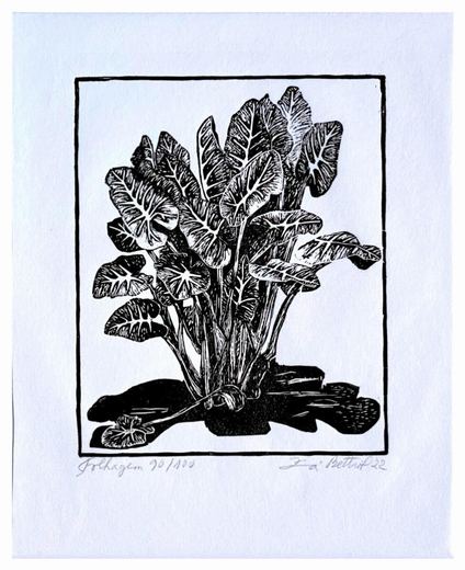 “Folhagem” — 4